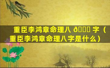 重臣李鸿章命理八 💐 字（重臣李鸿章命理八字是什么）